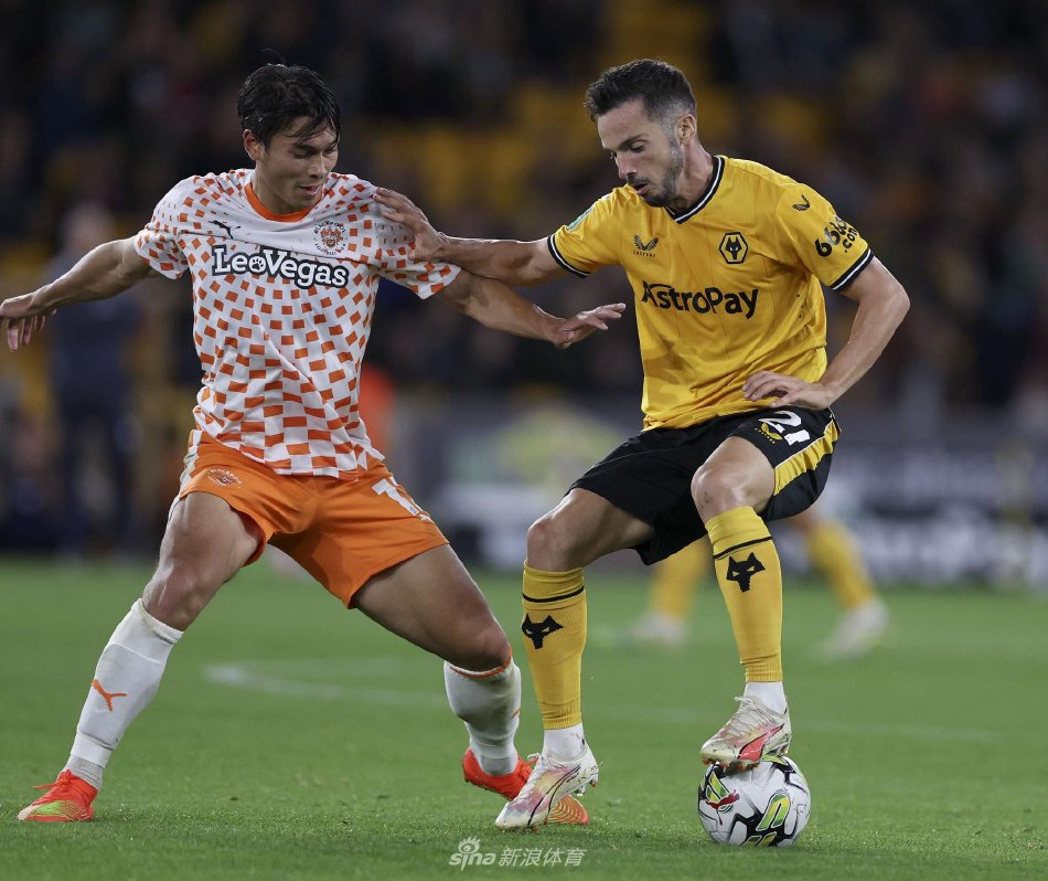 球队也因此 球队也因此